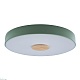 потолочный светодиодный светильник loft it axel 10003/24 green