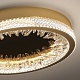 настенно-потолочный светильник delight collection xd-50 gold