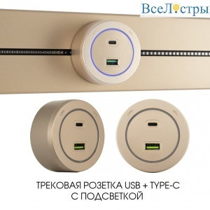 399731TS/USB-Type-C Gold