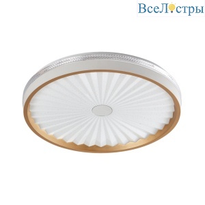 Bianco L 1.13.37 W