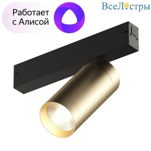 DK8020-BG