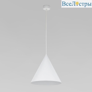10009 Cono