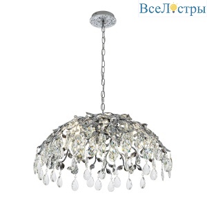 ML.8065.8 CR