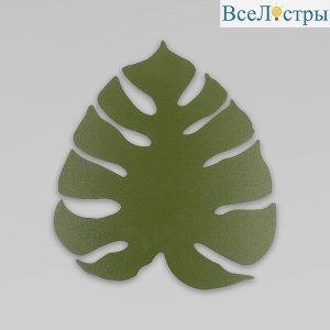 6435 Monstera