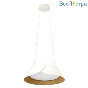 10370P White