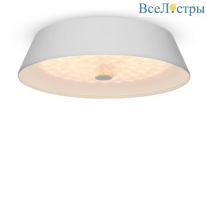 FR10013CL-L24W