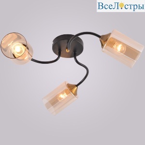 01608-0.3-03 BK+BRASS