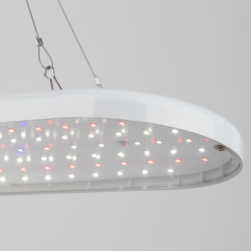 подвесной светильник для растений эра fito-25w-qled-fly б0053062