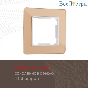 503.14-1.shampan