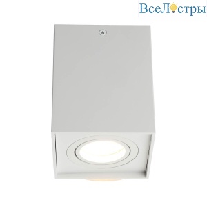 OML-101109-01