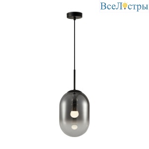 FR1011PL-01B2