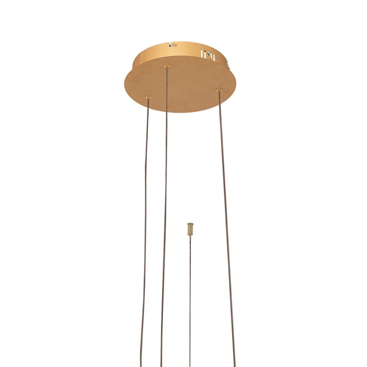 подвесной светодиодный светильник loft it ring 10017/3m