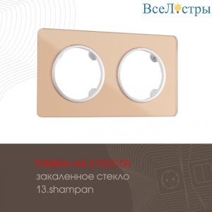 502.13-2.shampan