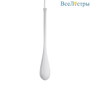 LACRIMA SP G BC/LU NI