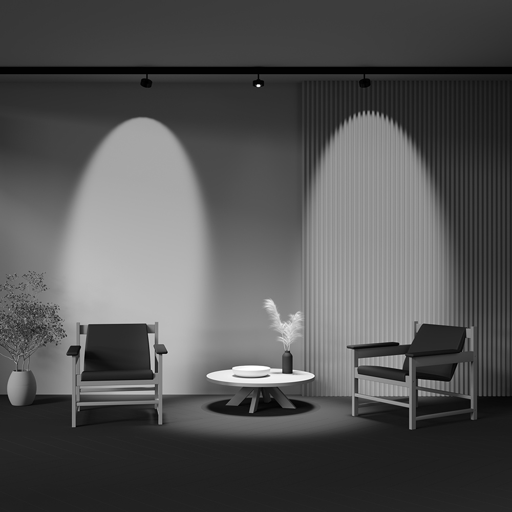 трековый магнитный светильник maytoni lens tr217-4-15wtw-ds-b