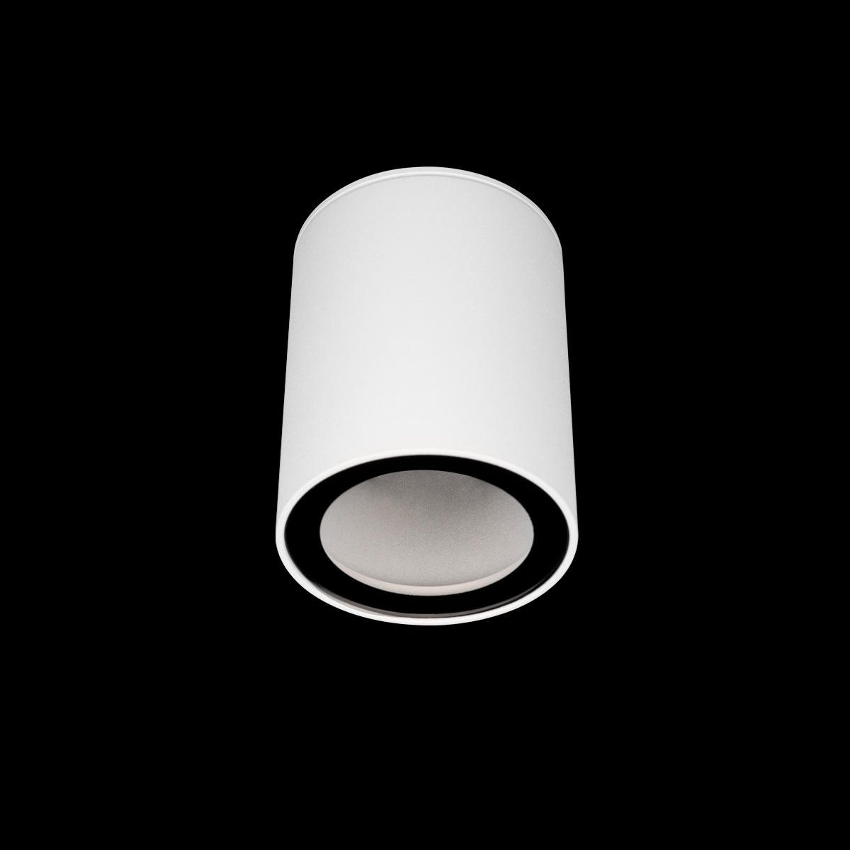 накладной светильник loft it rush 10344 white