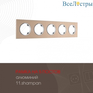 502.11-5.shampan