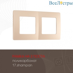 517.17-2.shampan