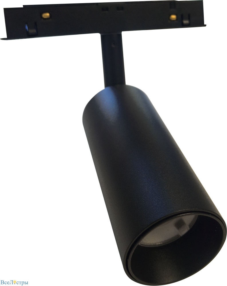 трековый магнитный светильник myfar ray mt0220-12w3k-b