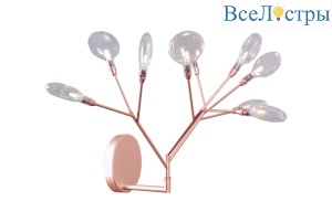 EVITA AP9 COPPER/TRANSPARENT