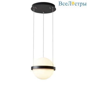 10228P/1 black