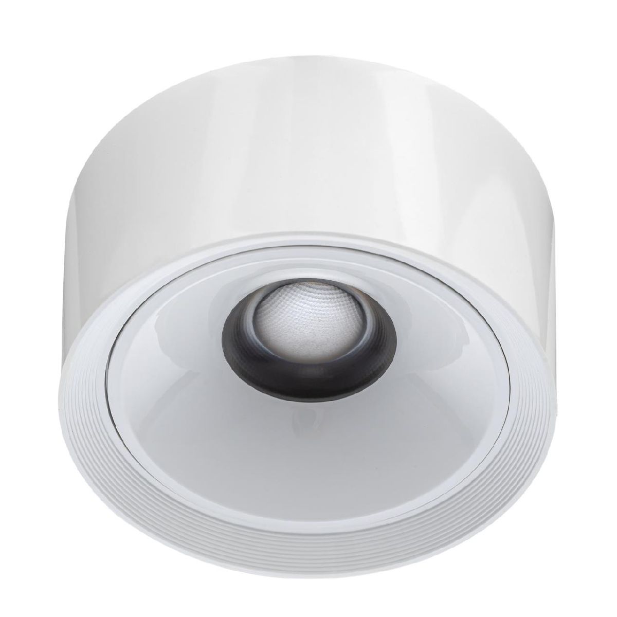 накладной светильник citilux rover cl743060n