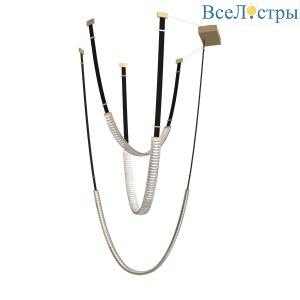MD24083001-3A black/gold