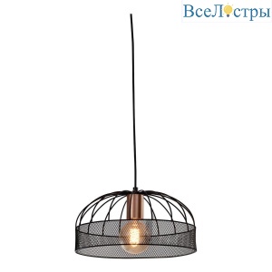 Б0050331