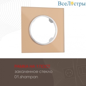 502.01-1.shampan