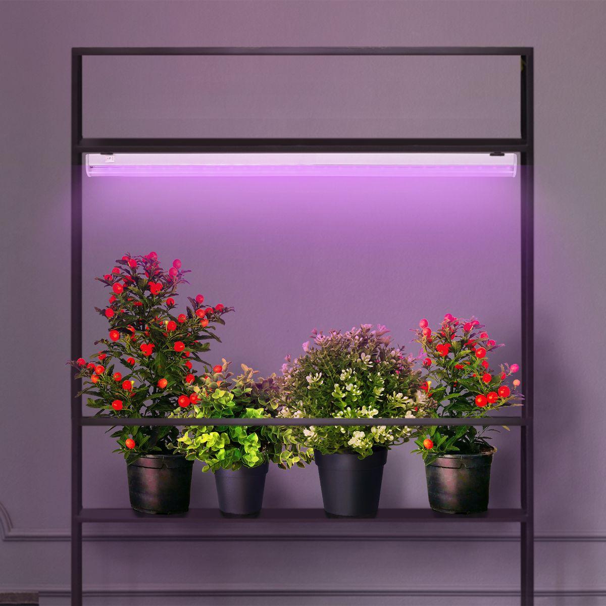 лампа светодиодная для растений эра g13 9w 1200k прозрачная fito-9w-rb-т8-g13-nl б0042986