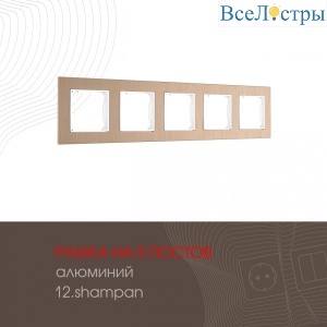 503.12-5.shampan