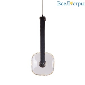 OD2553-1B black/clear