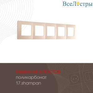 517.17-5.shampan
