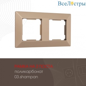 503.03-2.shampan