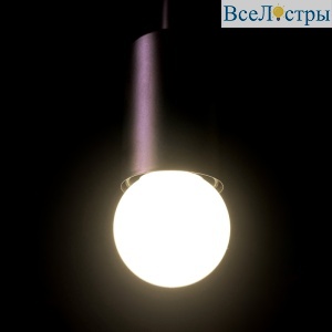 LAMP1-2WW