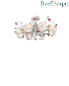 Fiori Di Rose 114.8