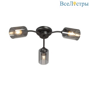 V2558-1/3PL