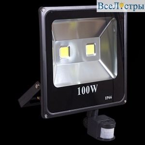 54100-0.2-001QY LED100W+SENSOR BK