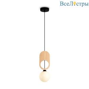 FR5593PL-01B