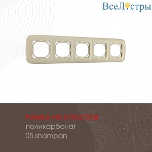 505.05-5.shampan