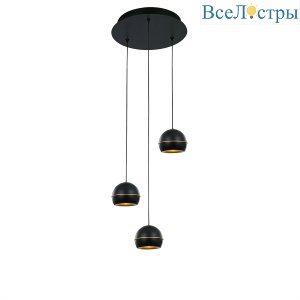 MD21001034-3A black/gold