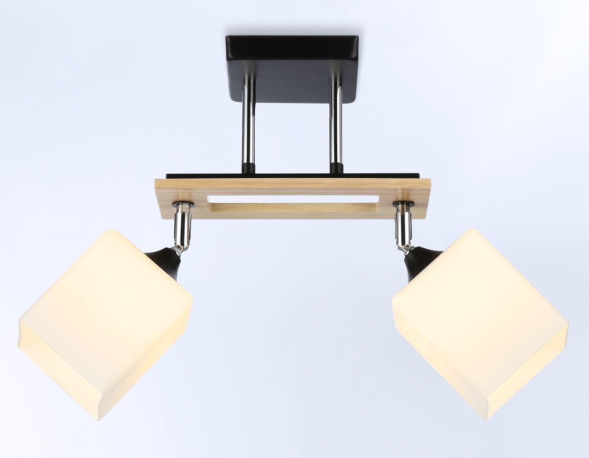 спот ambrella light traditional modern tr9503