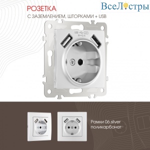 206.47-1.silver