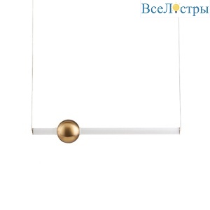 10053P/B1 gold