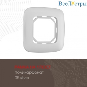 505.05-1.silver