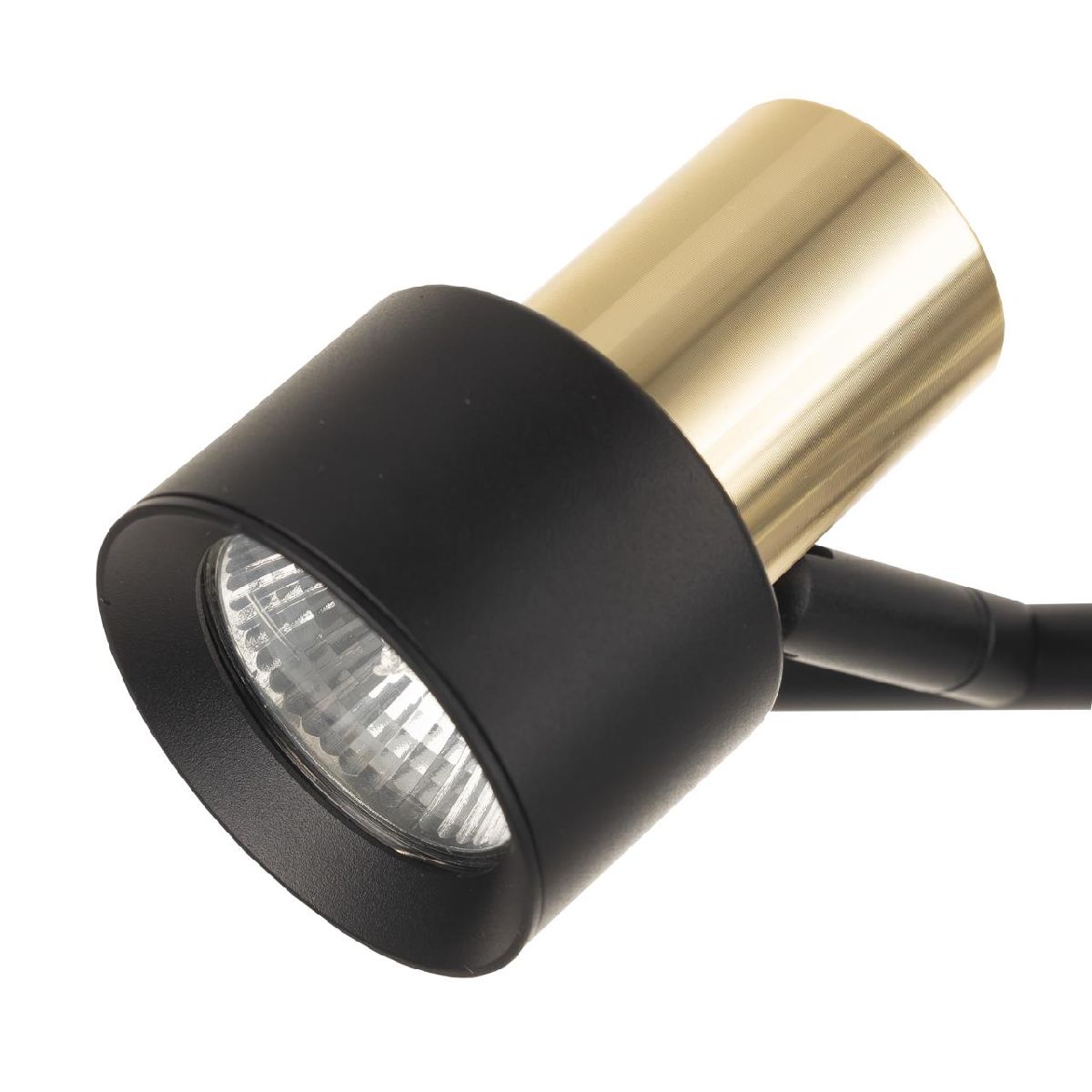спот citilux sat cl505631