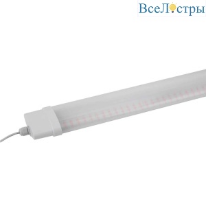 Б0045697