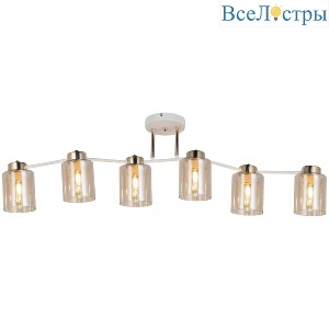 IL6111-6COU-79 WH GD Qui
