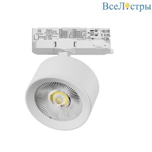 A5536QT