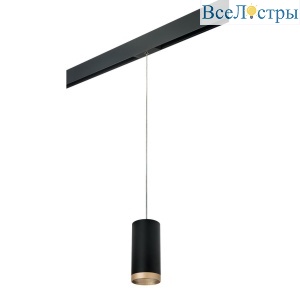 PRORP648790